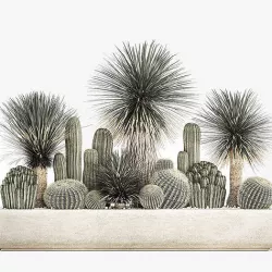 Cactus set in a concrete flowerpot for the interior 1099 3D model