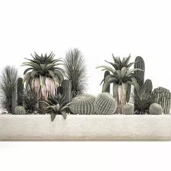 Cactus set in a concrete flowerpot for the interior 1100 3D model