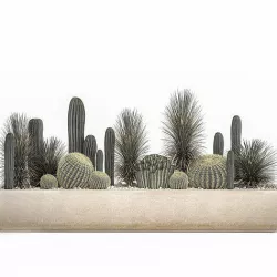 Cactus set in a concrete flowerpot for the interior 1101 3D model