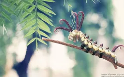 Caterpillar Brahmin moth 3D model  3D model