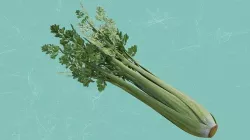 Celery Low-poly 3D model