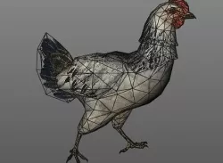 Chicken  with 3 animations Low-poly 3D model