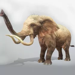 Elephant Low Poly Animated Low-poly 3D model