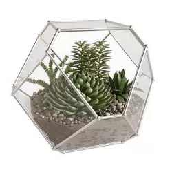 Florarium succulents  3D model