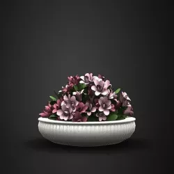 Flower models 01 in Lightwave 3D 3D model