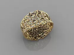 FSAEN BNGL 3D model