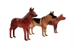Hell dog 3D model