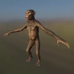 Monkey 3D model