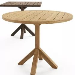 Roda Root Table 3D model