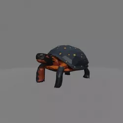 tortoise Low-poly 3D model