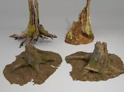 tree root 3D model