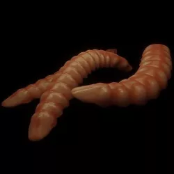 Worms 3D model