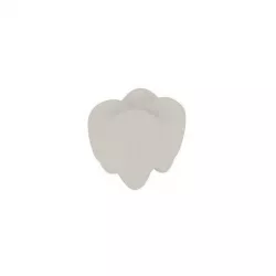 A teeth 3D model