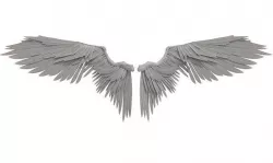 angel wings 3D model