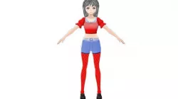 ANIME GIRL 3D MODEL RIGGED T POSE SHAPE KEYS Low-poly 3D model