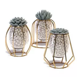 Artificial succulents 3D model
