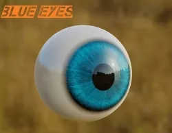 beautiful eyes  3D model