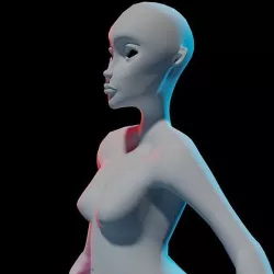 Blank Adult Female - Character Model 3D model