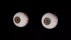Brown Eyes  3D model