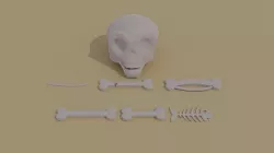 Cartoon bones kit Low-poly 3D model