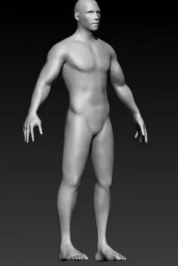 character 3D model