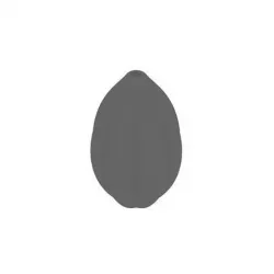 Cocoa 3D model