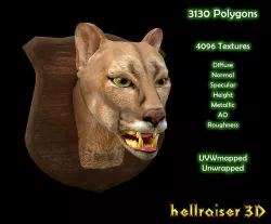 Cougar Head - PBR - Textured Low-poly 3D model