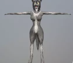 dracon85 Grey Werewolf Female Low-poly 3D model