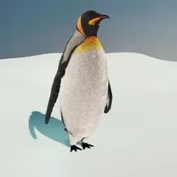 Emperor Penguin 3D model