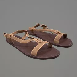 Female Sandals 3D model