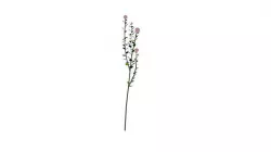 Flower from another planet Low-poly 3D model