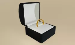 Gold Ring and Box 01 - Alianca anel ouro 3D model