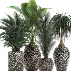 Houseplants in a pot for the interior 730 3D model