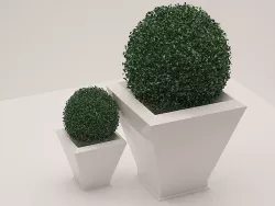 indoor bush  3D model