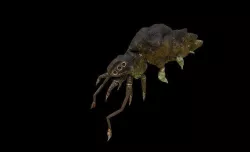 insect worms creature shpaghe Low-poly 3D model