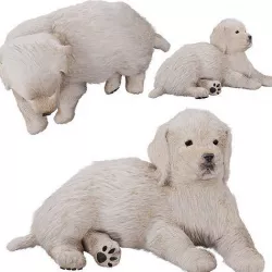 Labrador puppy 3D model