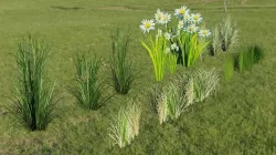 LOWPOLY GRASS set 2 Low-poly 3D model