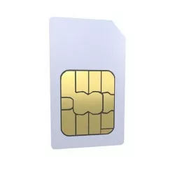 Mini Sim Card v1 001 Low-poly 3D model