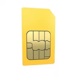 Mini Sim Card v1 002 Low-poly 3D model