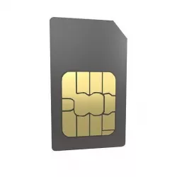 Mini Sim Card v1 003 Low-poly 3D model