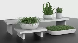 Minimal design Planter pots with greens 3D model
