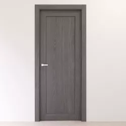 Modern interior gray oak solid door 3D model