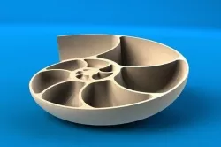 Nautilus Shell Spiral 3D model
