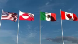 North American Flags  3D model