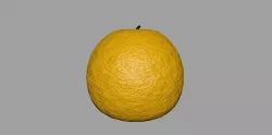 orange 3D model