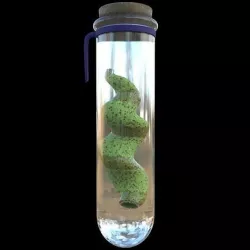Organ Eater Worm Low-poly 3D model
