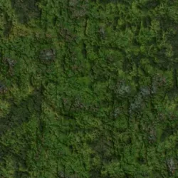 PBR nature grounds seamless textures Texture