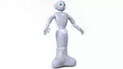 Pepper Robot 3D model