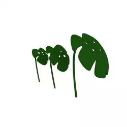 Plants 3D model