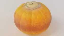 Pumpkin 3D model